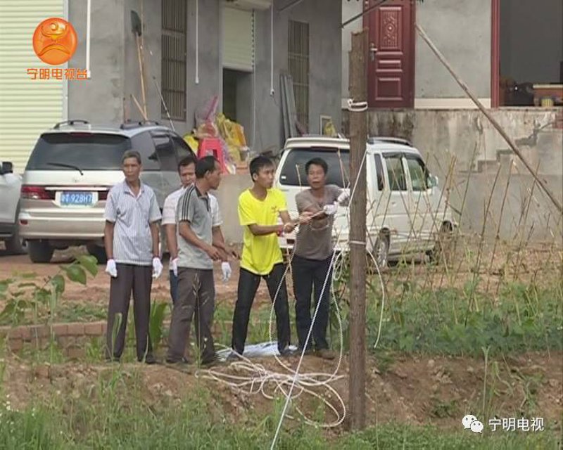 鱼苗批发行业的风云变幻